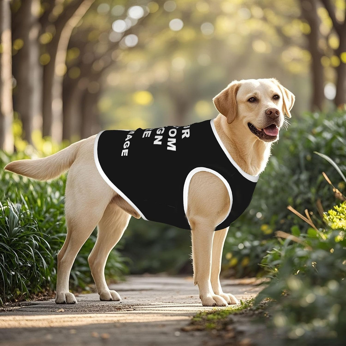 Custom Dog Mesh T-Shirt Soft Breathable Personalized Pet Clothes for Large Dogs