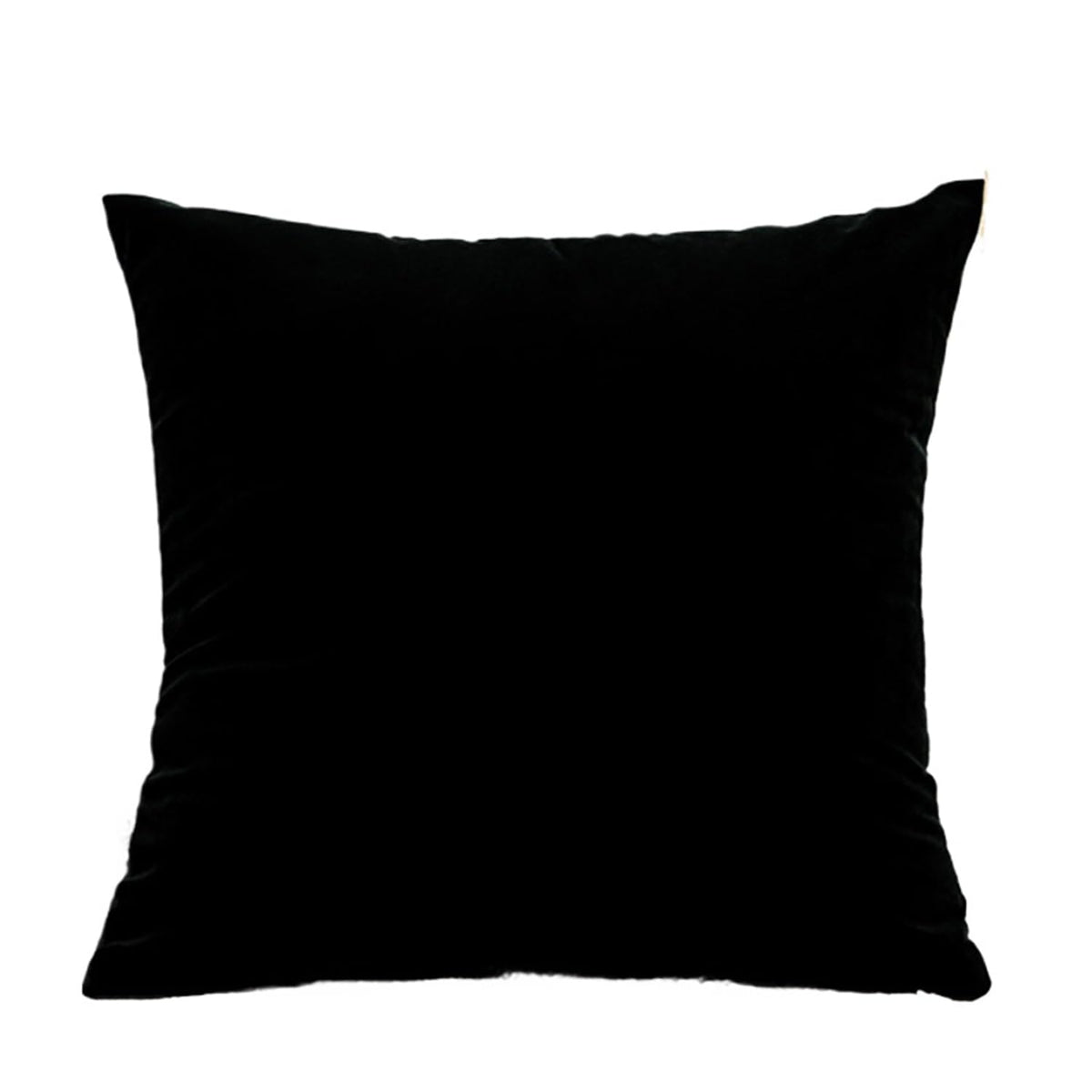 ZMvise Set of 2 Velvet Throw Pillowcase Solid Square Decorative Pillow Covers for Couch Sofa Bed Chair
