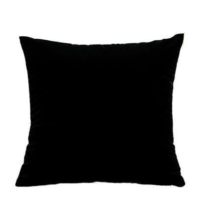 ZMvise Set of 2 Velvet Throw Pillowcase Solid Square Decorative Pillow Covers for Couch Sofa Bed Chair