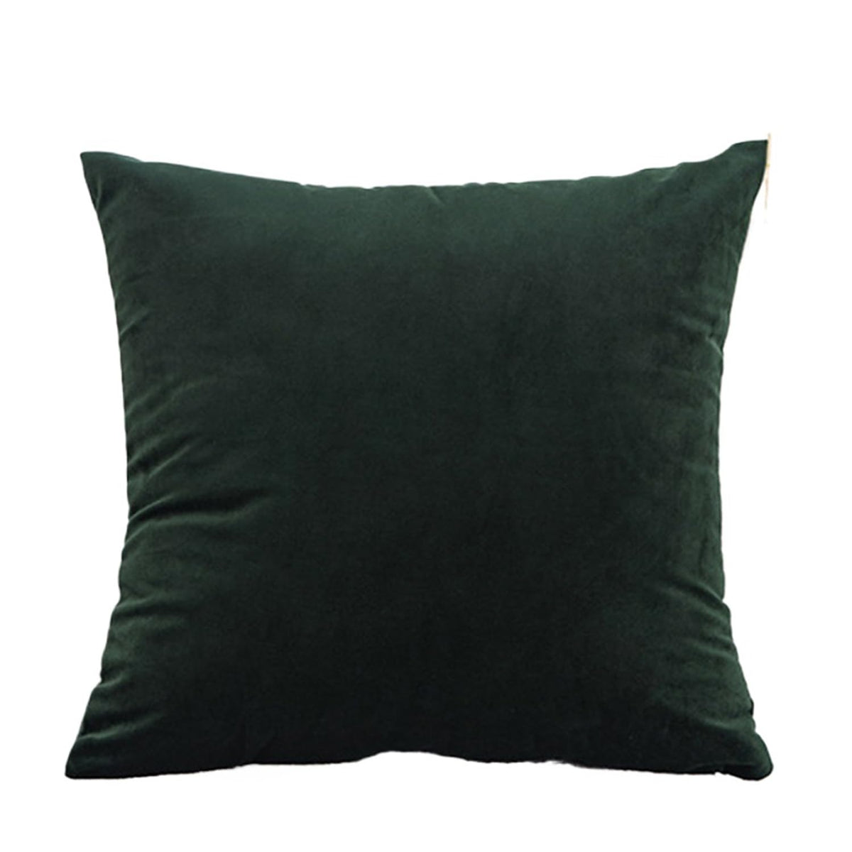 ZMvise Set of 2 Velvet Throw Pillowcase Solid Square Decorative Pillow Covers for Couch Sofa Bed Chair