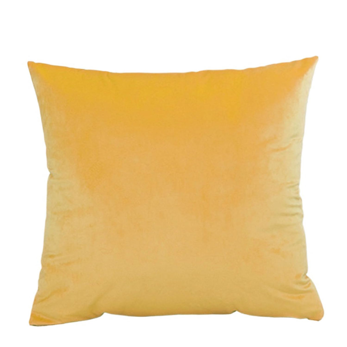 ZMvise Set of 2 Velvet Throw Pillowcase Solid Square Decorative Pillow Covers for Couch Sofa Bed Chair