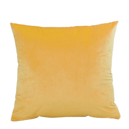 ZMvise Set of 2 Velvet Throw Pillowcase Solid Square Decorative Pillow Covers for Couch Sofa Bed Chair