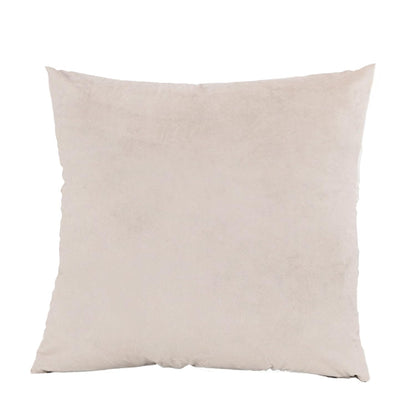 ZMvise Set of 2 Velvet Throw Pillowcase Solid Square Decorative Pillow Covers for Couch Sofa Bed Chair