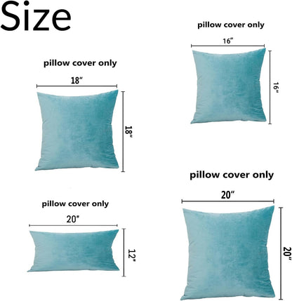 ZMvise Set of 2 Velvet Throw Pillowcase Solid Square Decorative Pillow Covers for Couch Sofa Bed Chair