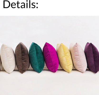ZMvise Set of 2 Velvet Throw Pillowcase Solid Square Decorative Pillow Covers for Couch Sofa Bed Chair