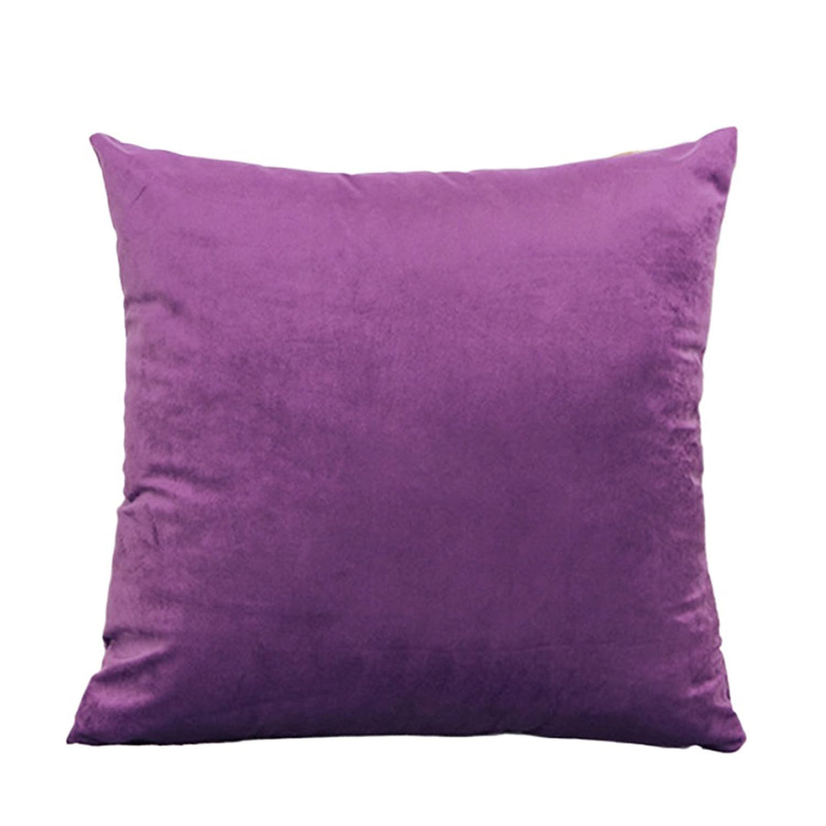 ZMvise Set of 2 Velvet Throw Pillowcase Solid Square Decorative Pillow Covers for Couch Sofa Bed Chair